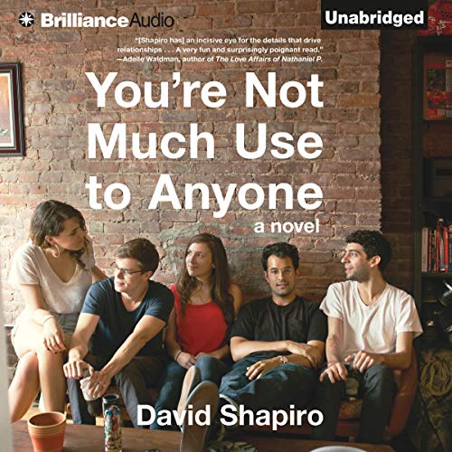 You're Not Much Use to Anyone by David Shapiro