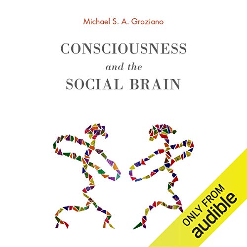 Consciousness and the Social Brain