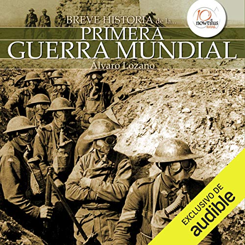Breve historia de la Primera Guerra Mundial