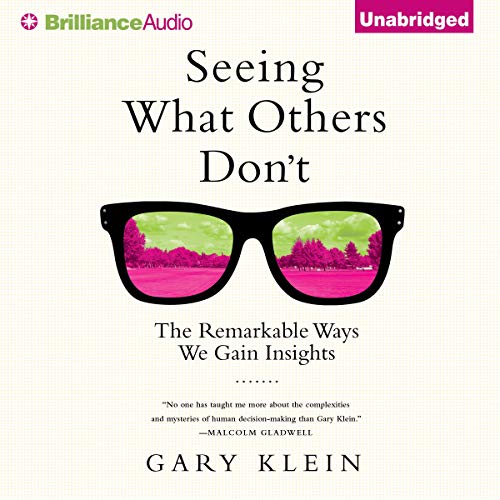 Seeing What Others Don't by Gary Klein