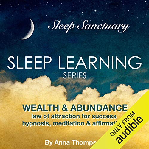 Wealth & Abundance: Law of Attraction for Success: Hypnosis, Meditation & Affirmations