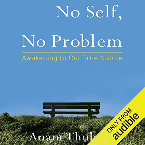 No Self, No Problem by Anam Thubten