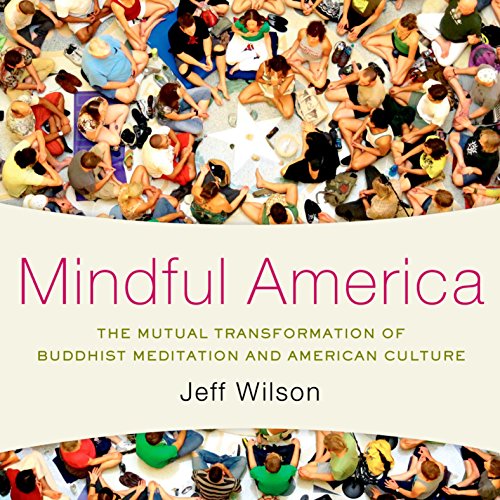 Mindful America by Jeff Wilson