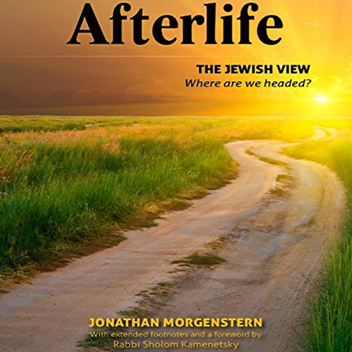 Afterlife by Jonathan Morgenstern