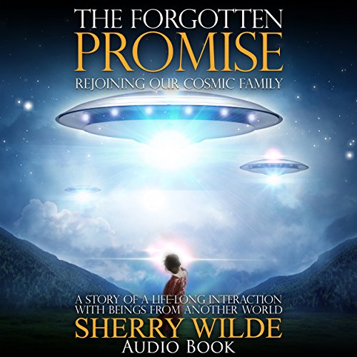 The Forgotten Promise by Sherry Wilde