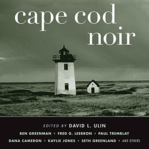 Cape Cod Noir by David L. Ulin