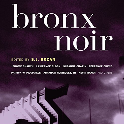 Bronx Noir