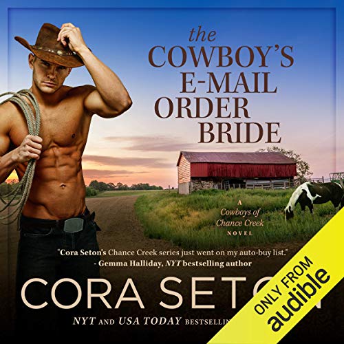 The Cowboy's E-Mail Order Bride