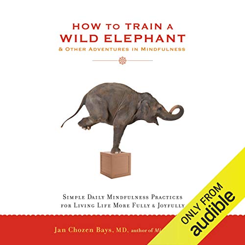 How to Train a Wild Elephant & Other Adventures in Mindfulness