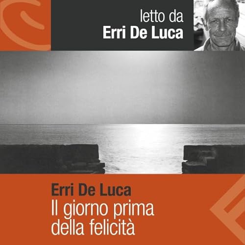 Il giorno prima della felicità