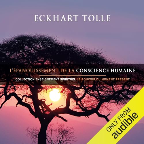 L'épanouissement de la conscience humaine