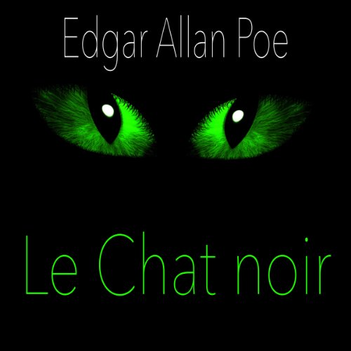 Le Chat noir