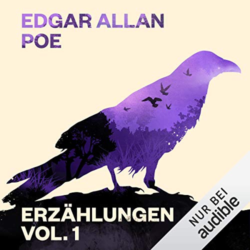 Edgar Allan Poe: Erzählungen 1