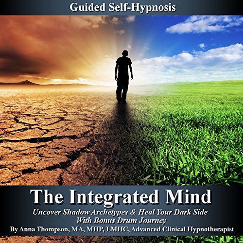 The Integrated Mind