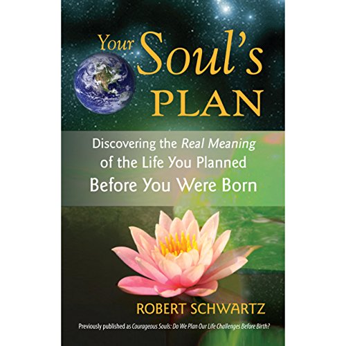 Your Soul's Plan by Robert Schwartz