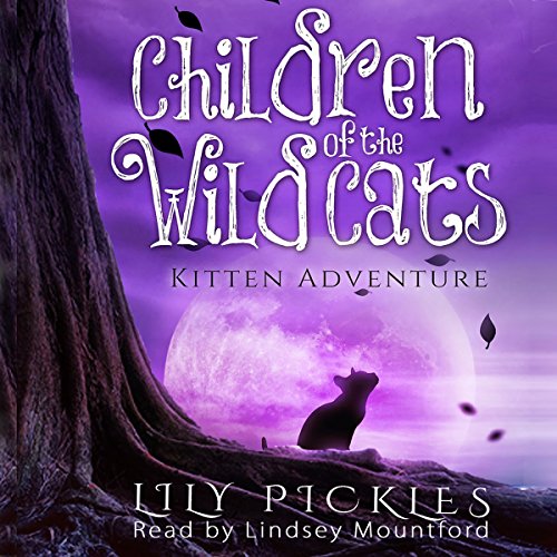 Kitten Adventure by Lily Pickles