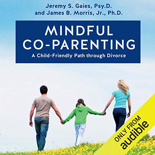 Mindful Co-Parenting by Jeremy S. Gaies Psy.D.