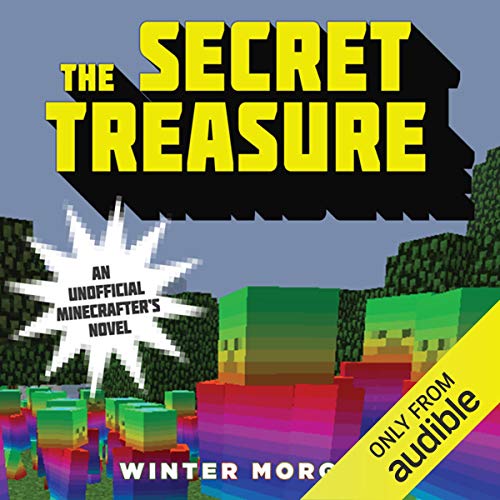 The Secret Treasure by Winter Morgan