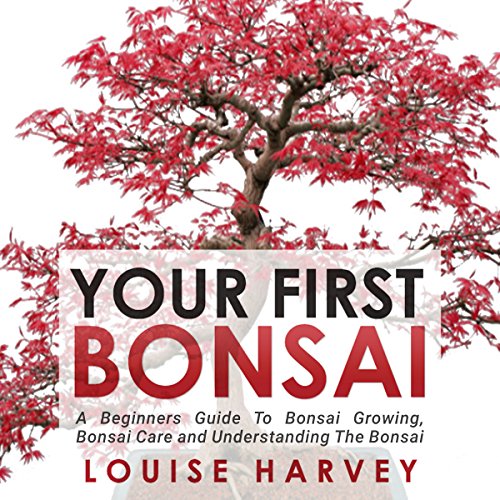 Your First Bonsai