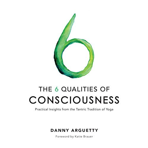 The 6 Qualities of Consciousness