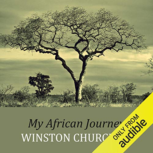 My African Journey