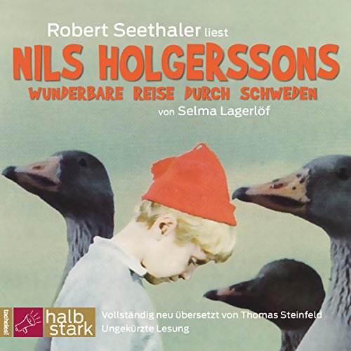 Nils Holgerssons wunderbare Reise durch Schweden