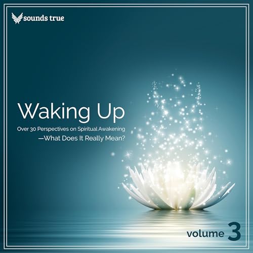 Waking Up Volume 3 by Various Authors