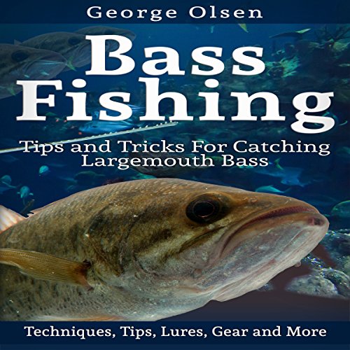 Bass Fishing by George Olsen