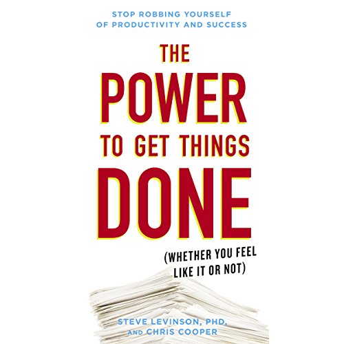The Power to Get Things Done by Steve Levinson Ph.D.