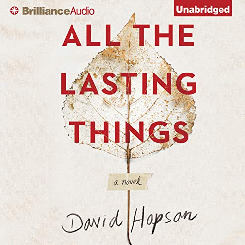 All the Lasting Things by David Hopson