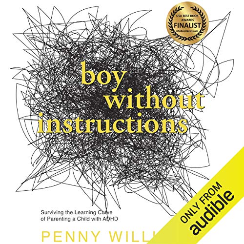 Boy Without Instructions