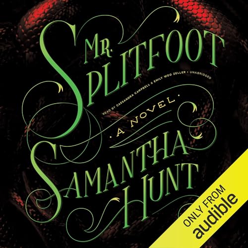 Mr. Splitfoot by Samantha Hunt