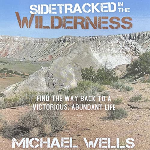Sidetracked in the Wilderness by Michael Wells