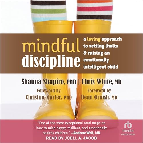 Mindful Discipline
