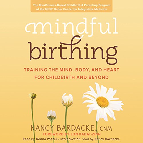 Mindful Birthing by Nancy Bardacke