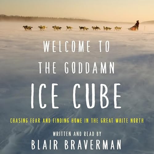 Welcome to the Goddamn Ice Cube by Blair Braverman