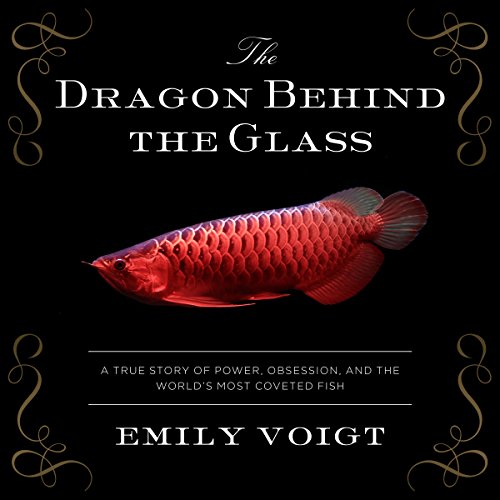 The Dragon Behind the Glass by Emily Voigt