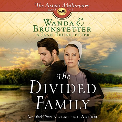 The Divided Family by Wanda E. Brunstetter