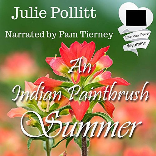 An Indian Paintbrush Summer: An American State Flower Novella