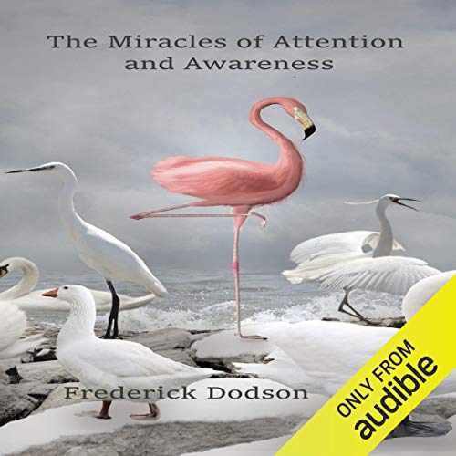 The Miracles of Attention and Awareness by Frederick Dodson