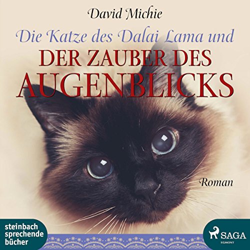 Die Katze des Dalai Lama und der Zauber des Augenblicks by David Michie