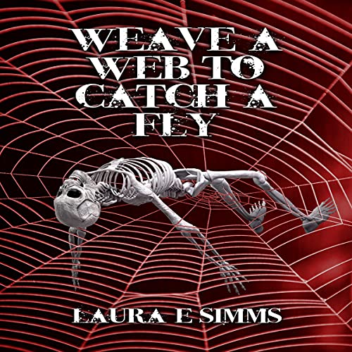 Weave a Web to Catch a Fly by Laura E. Simms