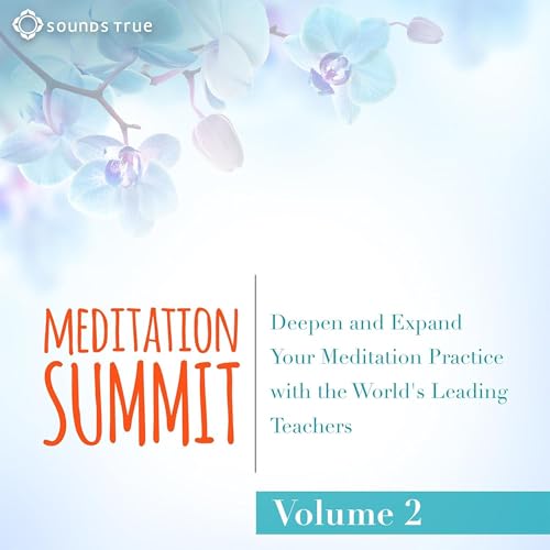 The Meditation Summit: Volume 2
