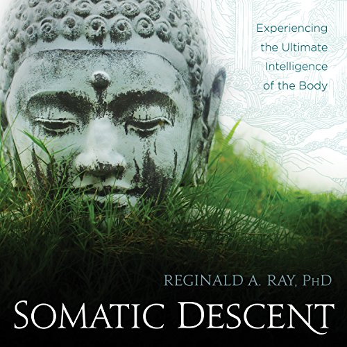 Somatic Descent by PhD Reginald A. Ray