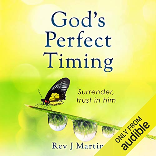 God's Perfect Timing by Rev J Martin