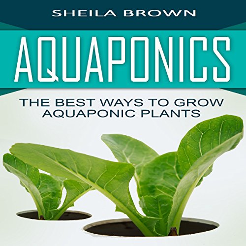 Aquaponics: The Best Ways to Grow Aquaponic Plants