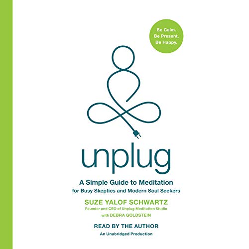 Unplug by Suze Yalof Schwartz