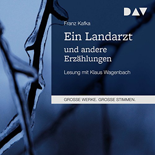 Ein Landarzt und andere Erzählungen by Franz Kafka