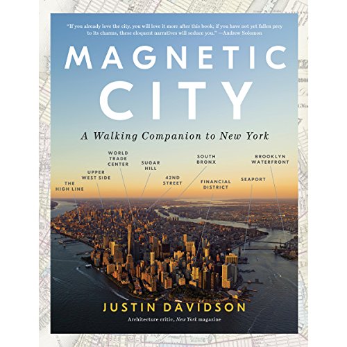 Magnetic City by Justin Davidson