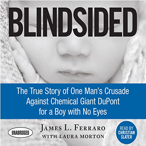 Blindsided by James L. Ferraro